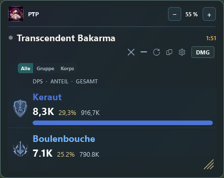 Kompakte Ansicht des PTP DPS Meters mit zwei sichtbaren Spielern und gut lesbaren Werten